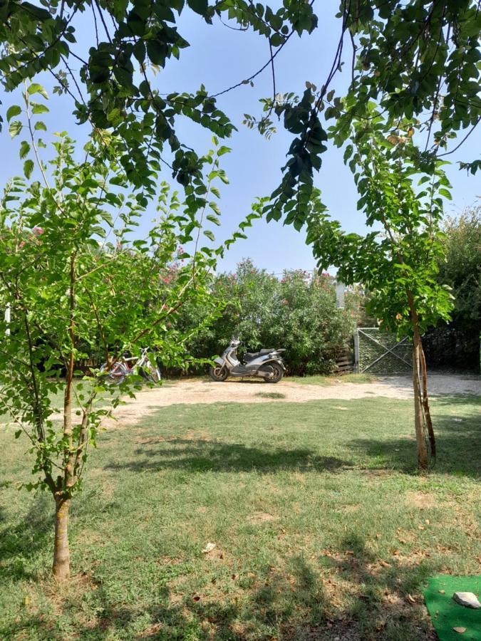 Σπίτι διακοπών Menta