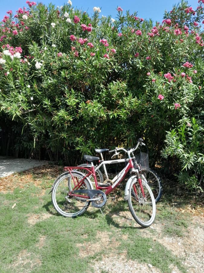 Menta Holiday home