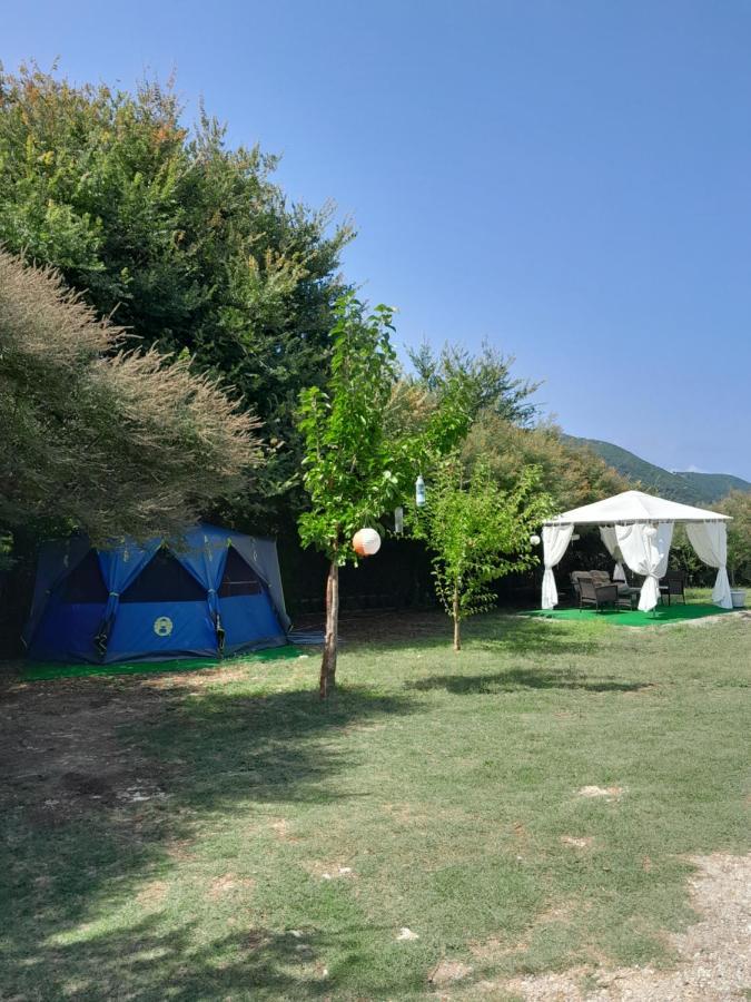Menta Φρύνι